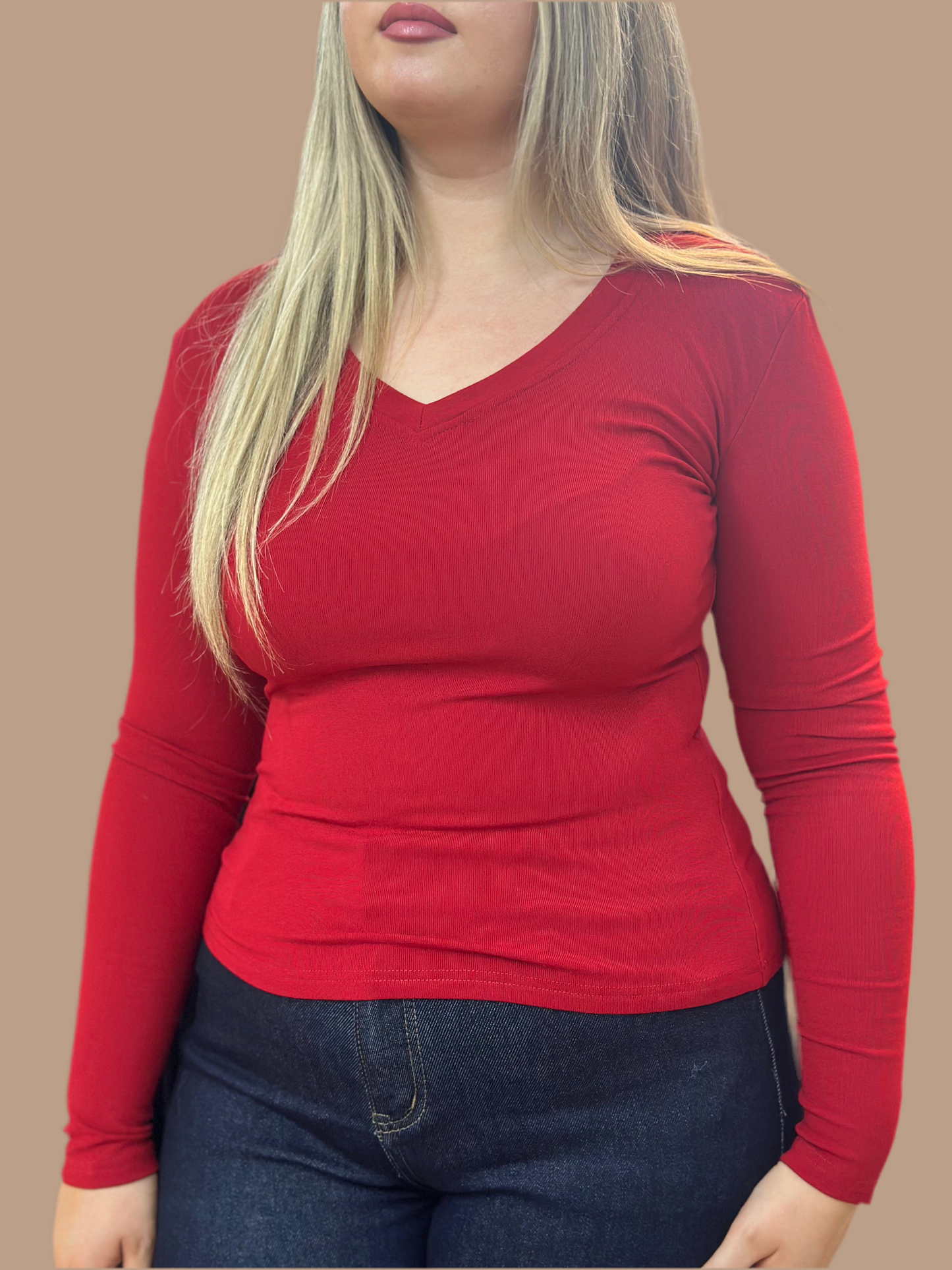 MWBASIC ALIE VNECK LONG SLEEVED TOP